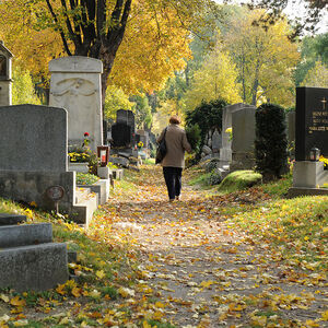 Feature: Zentralfriedhof.