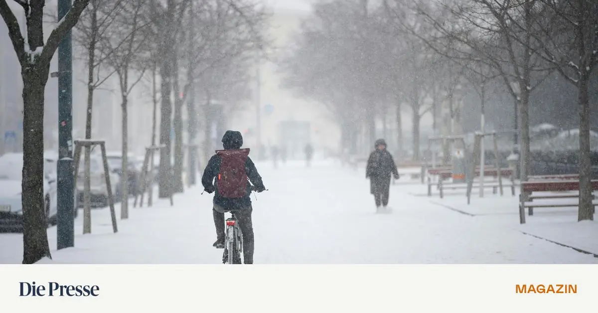 Wer-muss-jetzt-den-Schnee-wegr-umen-premium-