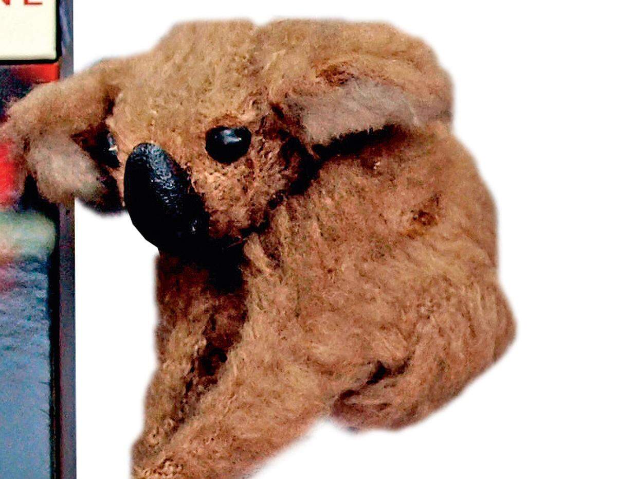 Klassisches Australien-Gimmick ist der Koala (billiger kommt das Plüschviecherl im Zoo Schönbrunn).