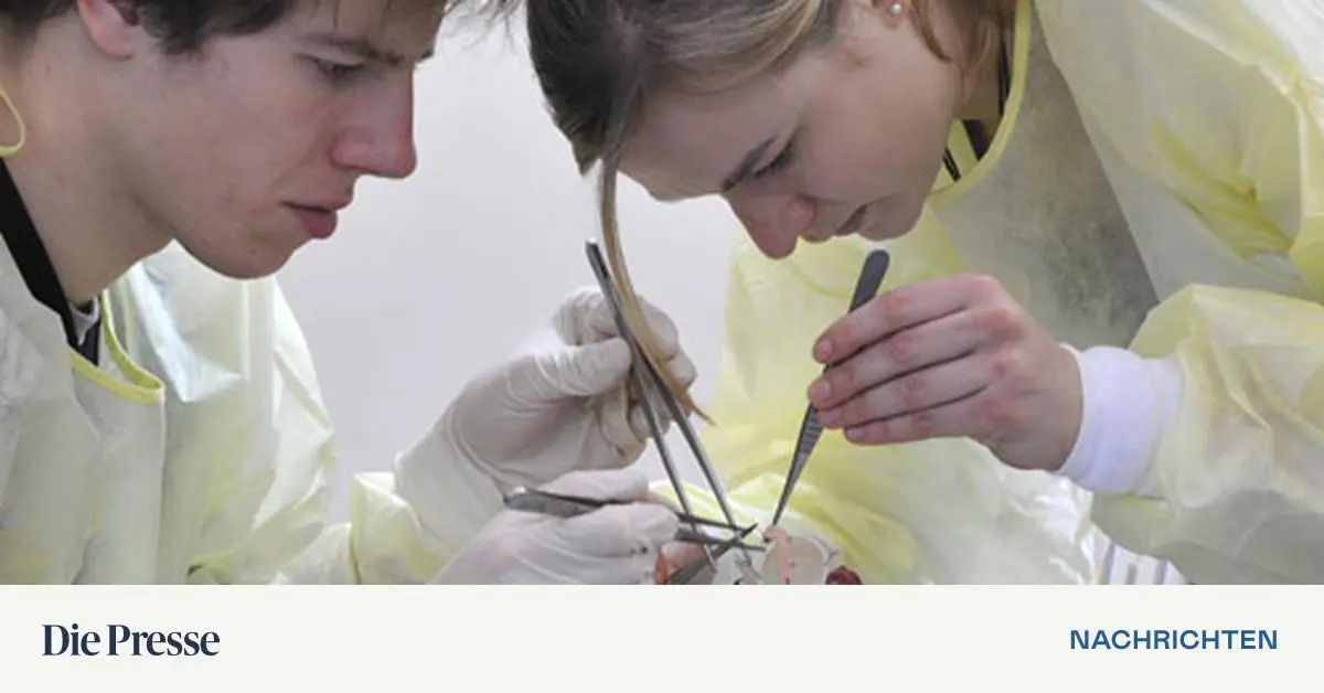 Schweizer Unis Nur Inländer dürfen zum MedizinTest