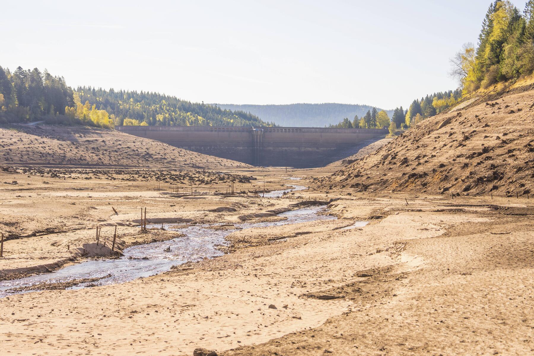 Austria's driest year impacts Verbund, causing €370 million earnings gap