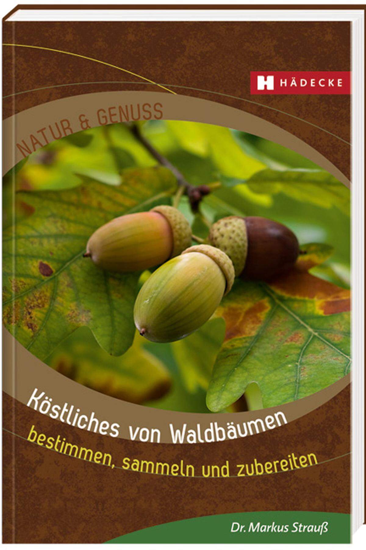 Diese und andere Rezepte findet man in Markus Strauß' "Köstliches von Waldbäumen - bestimmen, sammeln und zubereiten" (Hädecke Verlag).