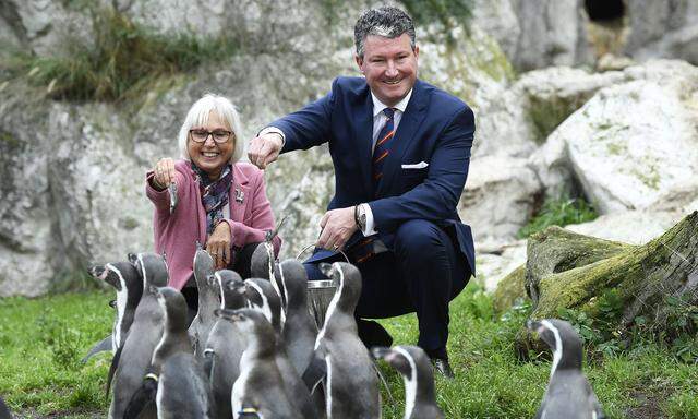 Schratter und Hering-Hagenbeck bei den Pinguinen – neben Orang-Utans und Würmern Lieblingstiere des neuen Direktors.
