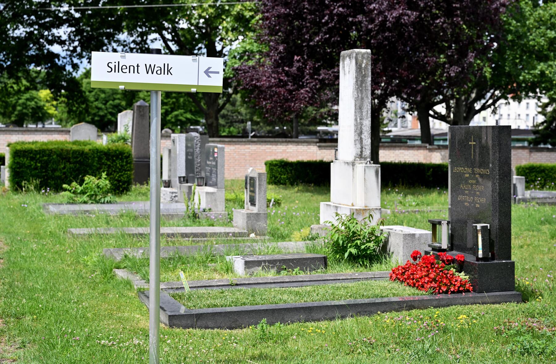 Vienna cemetery fitness park sparks political debate