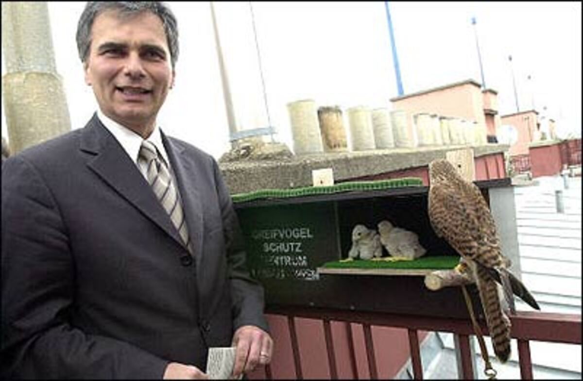 Ein weiterer Wiener Stadtrat taucht immer wieder in der Gerüchteküche auf: Wohnbaustadtrat Werner Faymann, dem verschiedenste Ressorts zugetraut werden.
