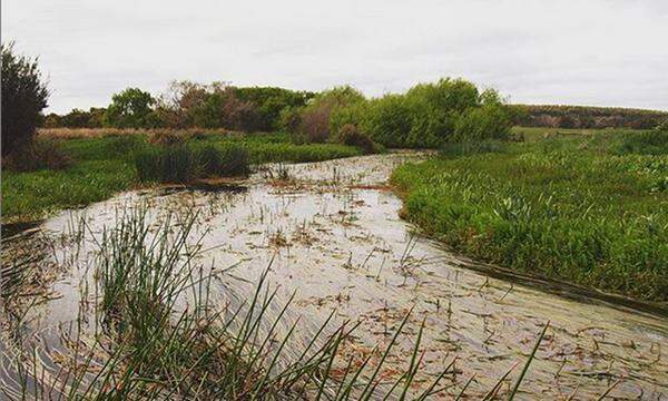 Die Budj Bim National Heritage Landscape liegt bei Byaduk und Hamilton in Victoria, Australien. Das Lavagestein des Budj Bim-Vulkans ermöglichte es den Gunditjmara, einer Gruppe der Aborigines, eines der ältesten Aquakultursysteme der Welt zu errichten. Es ist die erste Stätte, die sich exklusiv mit dem kulturellen Erbe der australischen Aborigines beschäftigt. 