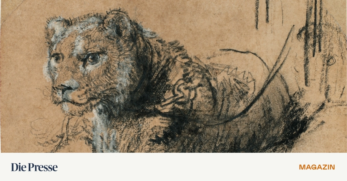 Altmeisterauktionen-in-New-York-Neue-H-chstpreise-f-r-Rembrandt-Michelangelo-und-Gentileschi-premium-