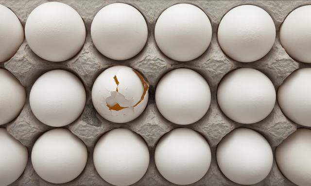 Woher kommen die Eier, die in der Lebensmittel- industrie und in Großküchen verwendet werden?
