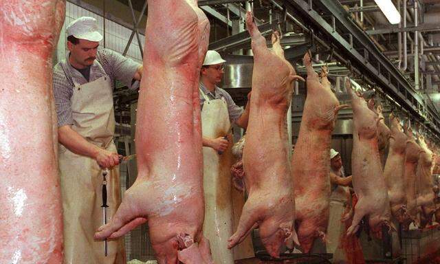 Schweinefleisch fuer Ruszland-Export   -FEATURE-