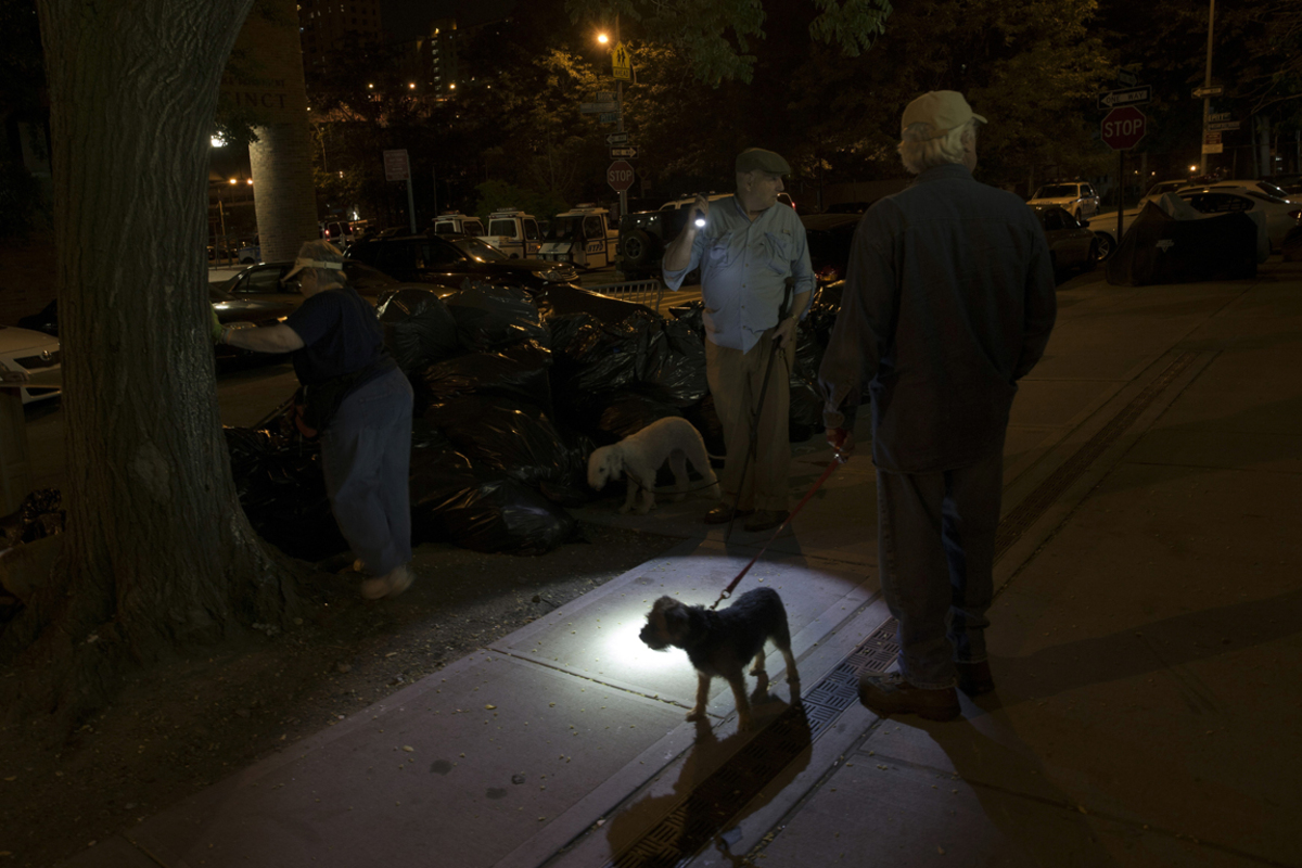 Ein schneller Biss und die Ratte ist tot.