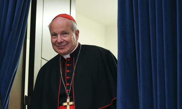 Archivbild: Kardinal Schönborn bei einer Pressekonferenz im Vorjahr im Vatikan
