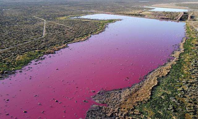 Die Lagune Corfo präsentiert sich derzeit in unnatürlichem und eher ungesundem Pink.