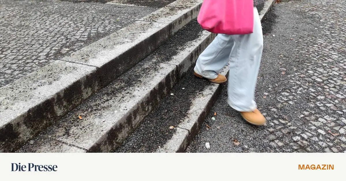 Was-ist-der-Unterschied-zwischen-Rollsplitt-und-Schotter-Wenn-ganz-Wien-unter-den-Sohlen-knirscht-premium-