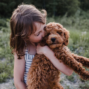 Haustiere gewinnen immer mehr an Bedeutung für den Menschen. Damit lässt sich verdienen.