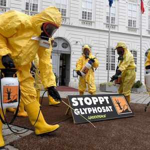 AKTION GREENPEACE 'GLYPHOSAT-VERBOT JETZT'