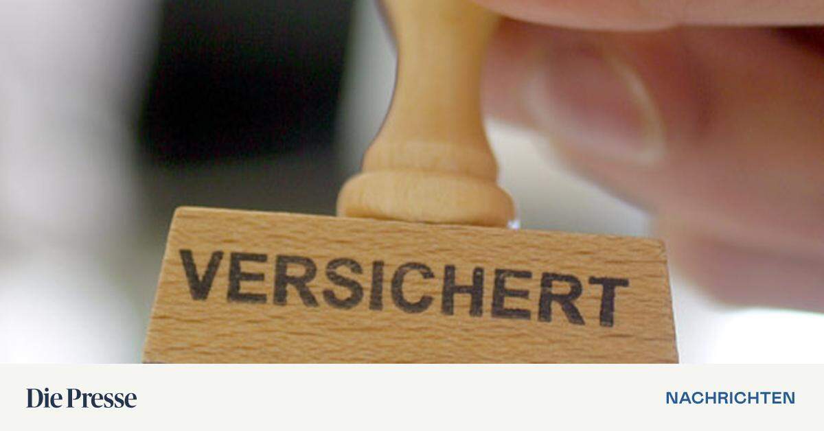 Welche Versicherungen Brauche Ich? | DiePresse.com