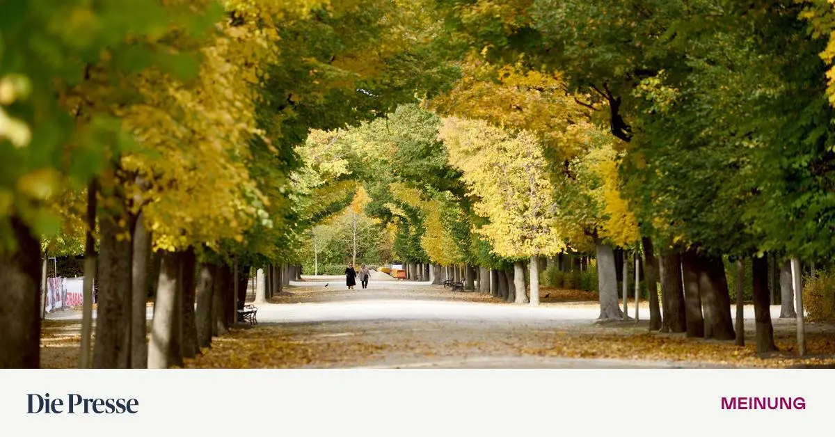 Okay-Herbst-wir-m-ssen-reden-premium-