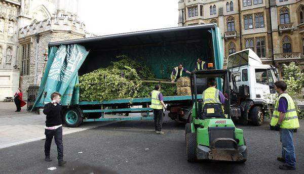 Laut "Daily Mail" hat Kate für die Zeremonie mehr als vier Tonnen Bäume bestellt, einige davon bis zu sechs Meter hoch, die wie ein englischer Garten in der Kirche arrangiert werden.