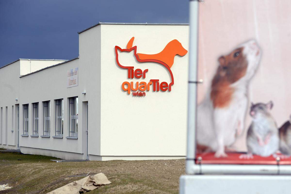 Auch im Vollbetrieb soll das neue Tierheim in der Donaustadt ruhig, sauber und vor allem geruchsfrei bleiben. "In Österreich haben Tierschutzhäuser immer ein bisschen einen negativen Beigeschmack. Wir wollten das anders machen und ein modernes statt grindiges und stinkertes Haus bauen", erklärte Tierschutzstadträtin Ulli Sima (SPÖ) bei der Eröffnung.