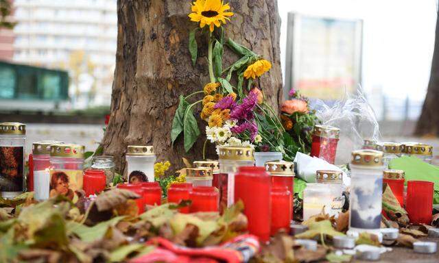Am 2. November 2020 erschoss ein islamistischer Attentäter in der Wiener Innenstadt vier Menschen. 