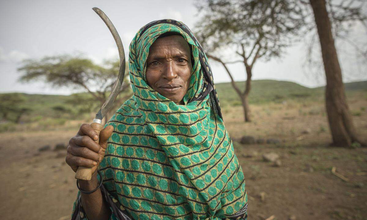 Mit dem Friedensnobelpreis für Ministerpräsident Abiy Ahmed und seinem Annäherungskurs an Eritrea gelangte Äthiopien 2019 in die Schlagzeilen. Doch während sich die politische Lage in dem Land langsam stabilisiert, verfestigt sich eine andere Krise: Äthiopien ist weltweit eines der am meisten durch Dürre gefährdeten Länder. Unvorhersehbare Regenfälle und das Ausbleiben regionalen Regens sind auf den Klimawandel zurückzuführen. Knapp acht Millionen Menschen leiden unter schwerer Unterernährung. Ein Großteil der Bevölkerung ist Selbstversorger, die Naturkatastrophen verschlimmern die extreme Armut noch. Frauen und Mädchen leiden besonders: Sie sehen sich zur Prostitution gezwungen, um ihren Lebensunterhalt verdienen zu können.