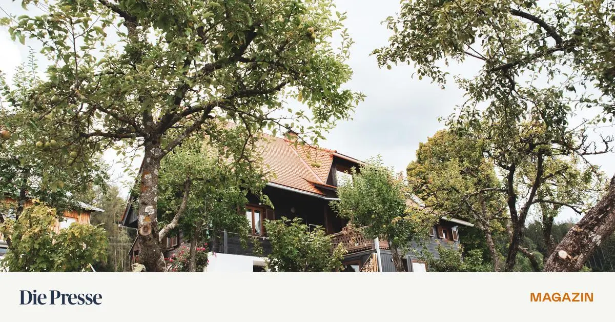 Small animal exercise downstairs, plenty of privacy upstairs