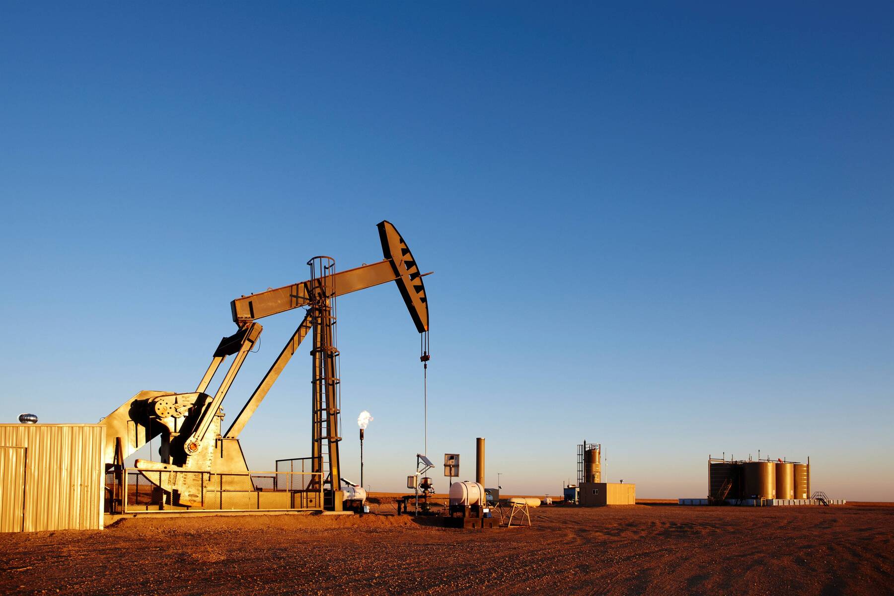 „Bei einem Ölpreis von 175 Dollar wird es kritisch” [premium]