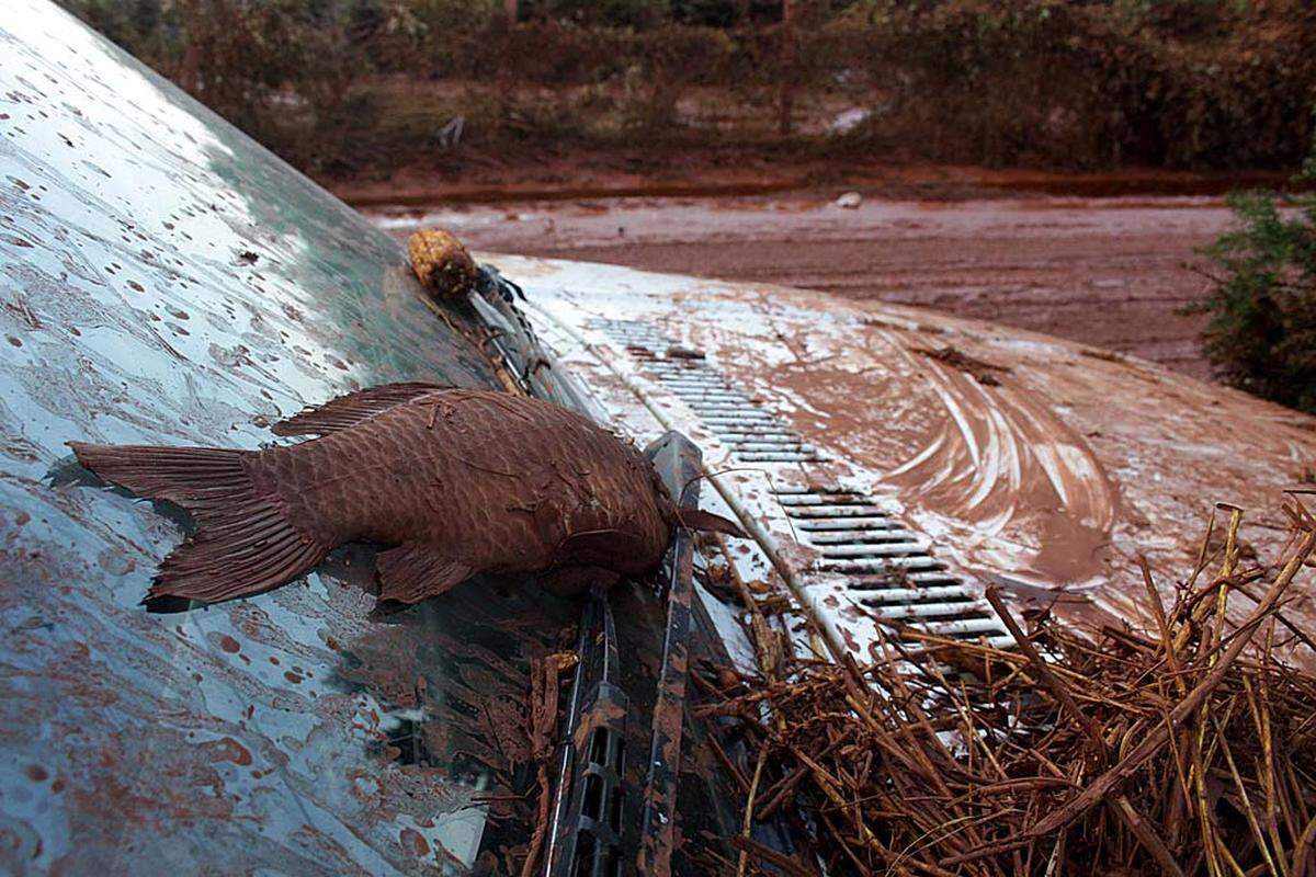 Greenpeace befürchtete, dass der toxische Rotschlamm das Grundwasser vergiftet.