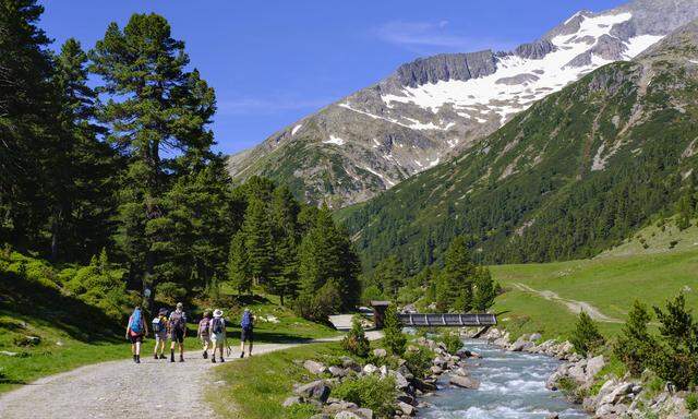 Wanderer in Tirol 