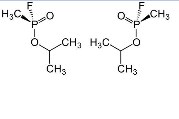 Tabun, Sarin (s. Strukturformel) und das verwandte Soman sind Verbindungen von Phosphorsäure bzw. Phosphonsäure, die man bei der Suche nach Insektenvertilgungsmitteln fand. Sie sind sogenannte „Nervengase“: Sie hemmen ein Enzym, das Acetylcholin abbaut, jene Substanz, die Reize zwischen Nervenzellen überträgt. Folglich entsteht eine Schwemme an Acetylcholin, eine totale Überreizung des Nervensystems folgt. Es beginnt mit Sehstörungen, Atemnot, Herzrasen, dann folgen Zuckungen, Muskelkrämpfe, Stuhlabgang, Lähmungen – und der Tod.