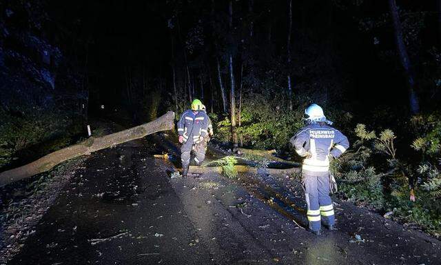Die Einsatzkräfte im Bezirk Amstetten waren bis in die Morgenstunden mit Unwetterschäden beschäftigt.