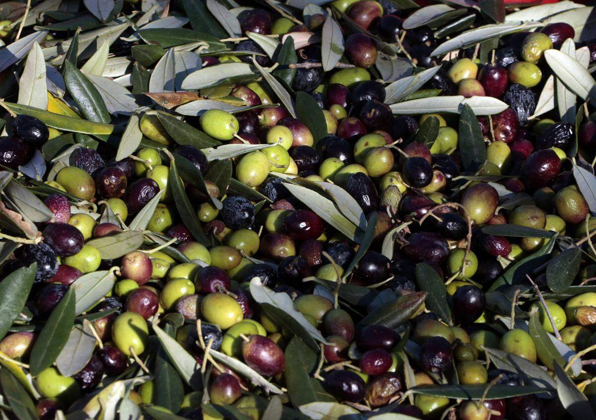 Fett ist eben nicht gleich Fett. Die ungesättigten Fettsäuren und der hohe Gehalt an Phenolen im Olivenöl kurbeln die Fettverbrennung an. Je naturbelassener, desto besser.