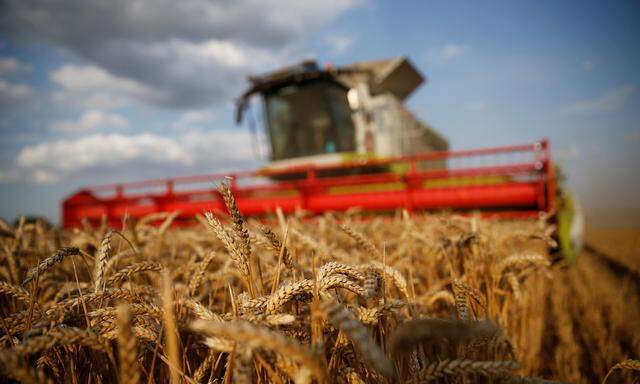 Zu viele Regeln, zu viel Konkurrenz: Billiges Getreide aus der Ukraine ist nur ein Punkt auf der Liste der bäuerlichen Vorwürfe an die EU-Kommission. 