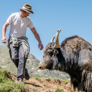 Michael Wilhelm mit dem 15-jährigen Yakstier Seppi, der eigentlich schon im Ruhestand ist.