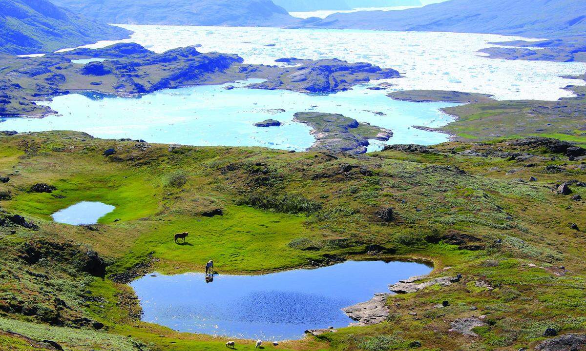 Kujataa auf Grönland ist ein landwirtschaftlich genutztes Gebiet in der subarktischen Zone. Das Gebiet ist Zeuge der kulturellen Geschichte der nordischen Jäger und Sammler, die aus Island im 10. Jahrhundert hier ankamen und gemeinsam mit den Ureinwohnern eine gemeinsame Kultur der Landwirtschaft und Jagd schufen.