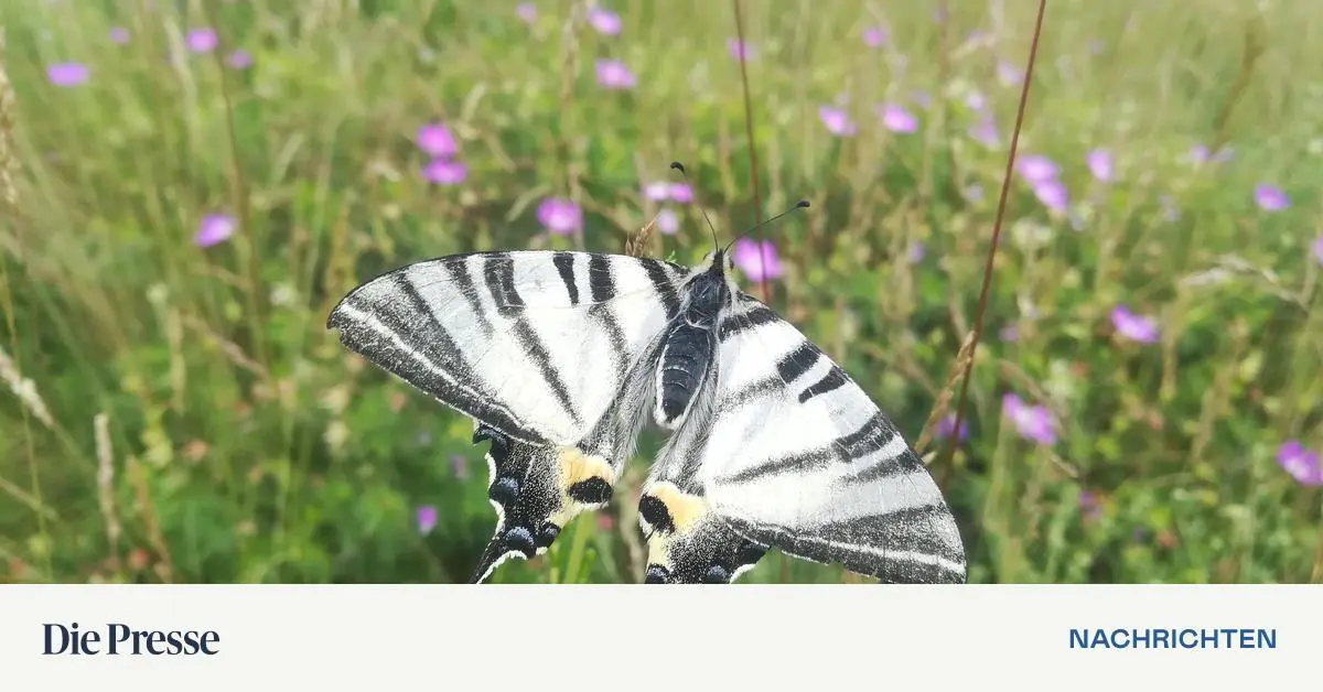 Wissen-in-K-rze-Heimische-Forschung-zu-Klima-und-Naturschutz