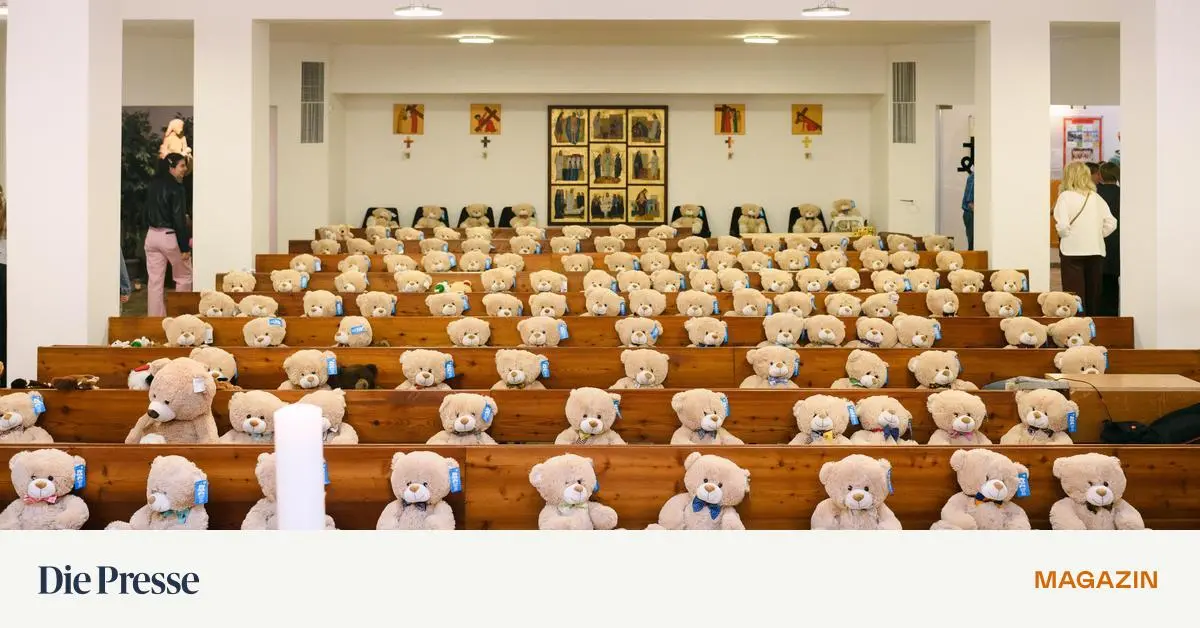 Wo-Teddyb-ren-in-die-Kirche-gehen