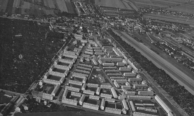 Siedlung Siemensstraße 1954: hohe Häuserblocks am Rand, je mittiger, desto niedriger.