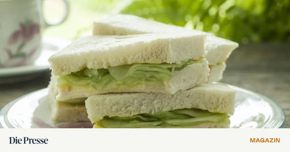 das-spectrum-r-tsel-ein-hausgast-kam-um-zu-bleiben