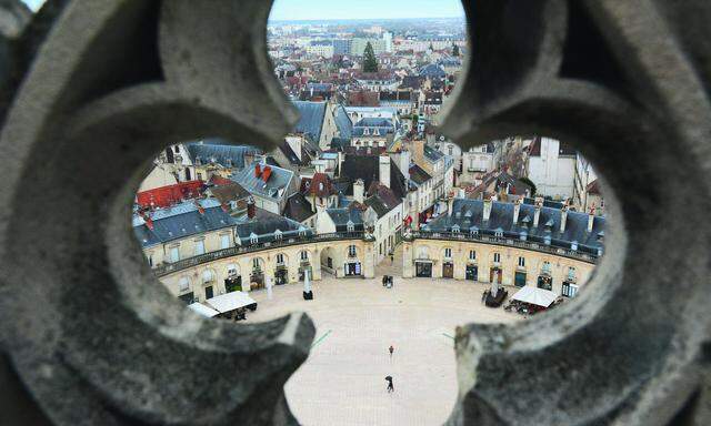 Erkunden. An der Fassade der Notre-Dame wird man eine Eule finden. Angeblich hat sie Zauberkraft.