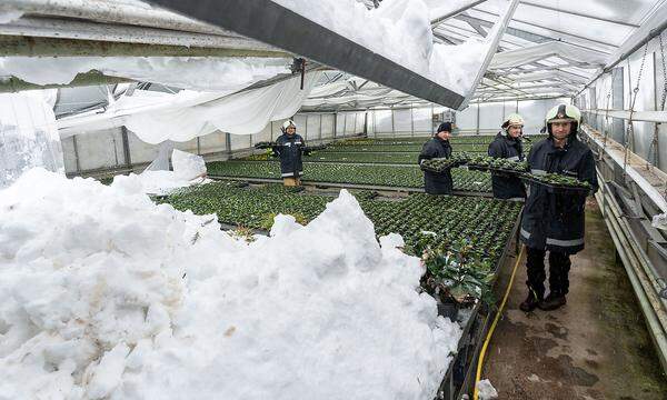 Die Schneemassen brachten am Montag in Salzburg das Glashaus einer Gärtnerei zum Einsturz.