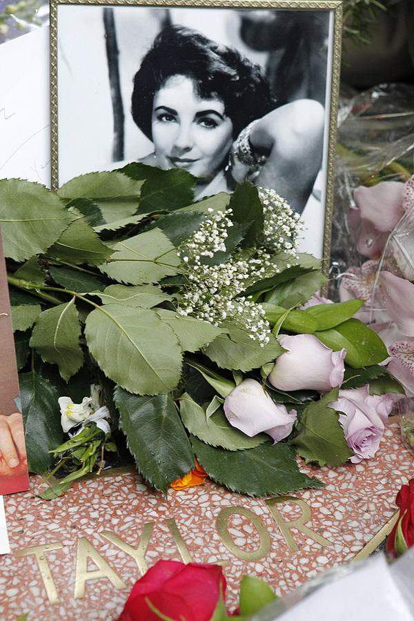 Hollywood hat einen seiner größten Stars verloren. Mit 79 Jahren starb Elizabeth Taylor am Mittwoch an Herzversagen. Die zweifache Oscar-Preisträgerin lag bereits seit Wochen in einer Klinik im Los Angeles. Der Tod der Leinwand-Ikone löste eine Flut von Beileidsbekundungen und Würdigungen aus. Freunde und Kollegen reagierten mit Trauer und Bestürzung. Fans schmückten Taylors Stern auf dem Hollywood Walk of Fame mit Blumen und Abschiedsbriefen.