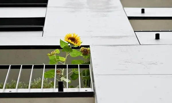 Mietwohnungen mit 70 Quadratmetern sind am stärksten nachgefragt.