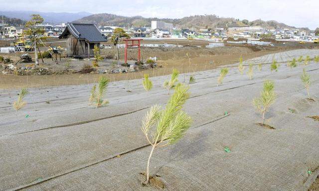 The tsunami-devastated Iwaki city in Fukushima prefecture  is seen in these images in this combination picture.