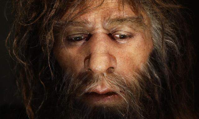 „Schon wieder Grünzeug!“ So stellt man sich den Neandertaler vor, in einer Rekonstruktion.