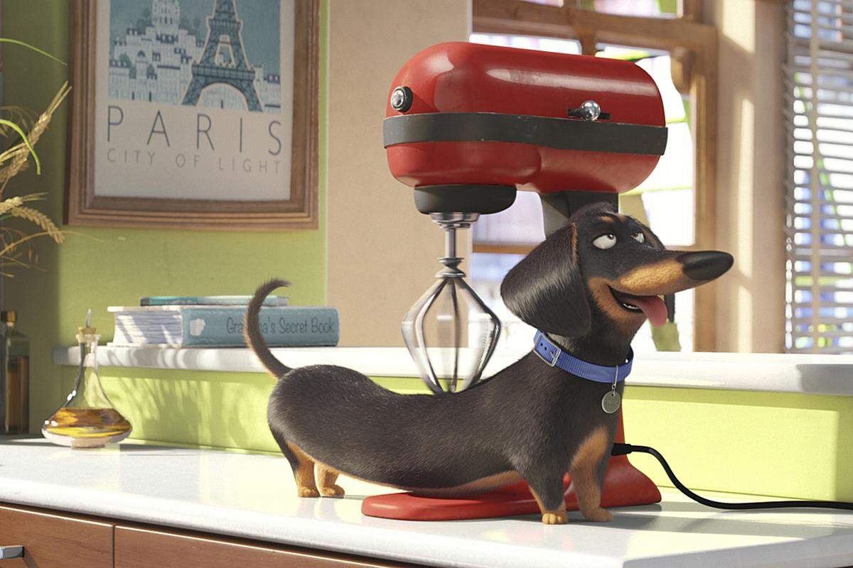 Filmstart: 4. August 2016 Was tun Haustiere, wenn ihre Besitzer nicht zu Hause sind? Dieser Frage geht "The Secret Life of Pets" nach. Der erste Trailer war grandios komisch, der zweite ließ darauf schließen, was inhaltlich von dem Film der "Ich - Einfach Unverbesserlich"-Macher Chris Renaud und Yarrow Cheney zu erwarten ist: Das Leben von Terrier Max (im Original von Komiker Louis C.K. gesprochen) wird auf den Kopf gestellt, als sein Frauchen einen weiteren Hund mit nach Hause bringt. Bald landen die beiden auf den Straßen von New York - und müssen gegen die Armee eines diabolischen Kaninchens kämpfen.