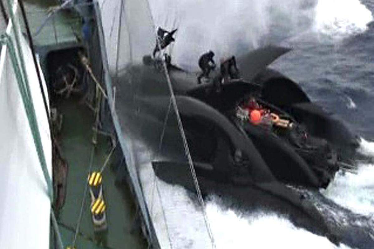 Der Trimaran ist im Jänner 2010 bei einer Kollision mit dem japanischen Walfänger "Shonan Maru II" schwer beschädigt worden ...
