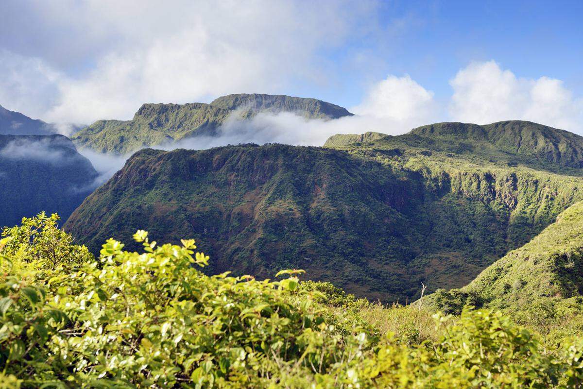 Vulkane, üppige Vegetation sowie schwarze, weiße und rote Sandstrände. Die Insel auf Hawaii bietet für Aktivurlauber und Sonnenanbeter besonders viel.