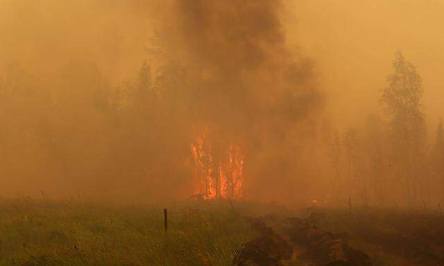 Waldbrände in der Region Jakutien in Russland.