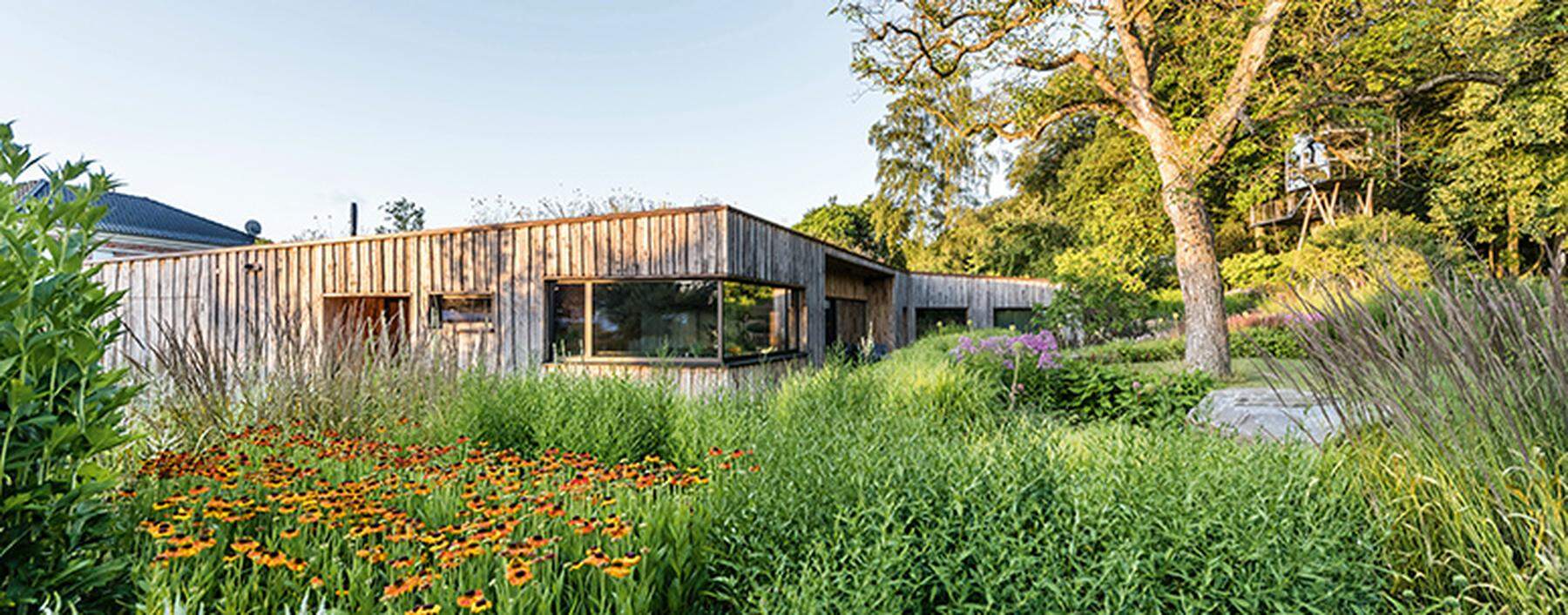 Holzhaus in Hannover eingebettet in eine Stauden- und Gräserbepflanzung.